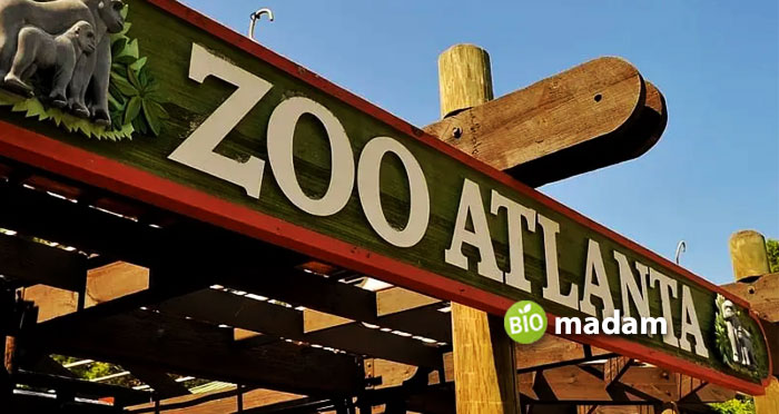 Atlanta-Zoo