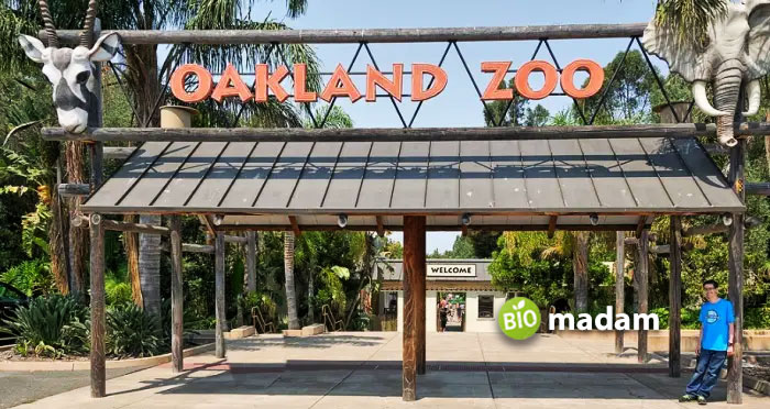 North-Carolina-Zoo