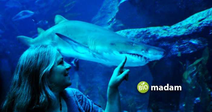 Woman-at-Dubai-Aquarium