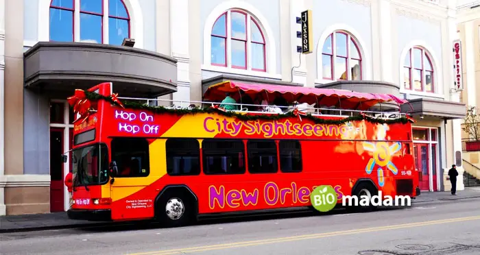 bus-from-New-Orleans